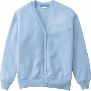 【カゼン KAZEN】 カゼン 189-99 レディスカーディガン サックス 4Lサイズ KAZEN