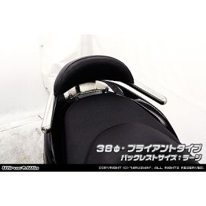 【ウイルズウィン WirusWin】 ウイルズウィン 1363-12-01 Bレスト付タンデムバー BRY/38/L FORZA Si MF12 WirusWin