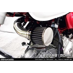 【ウイルズウィン WirusWin】 ウイルズウィン 2124-02-02 パワーフィルターKIT 差込み径50mm モンキー125 2BJ-JB02 WirusWin
