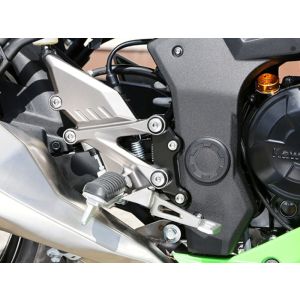 【ベビーフェイス BabyFace】 ベビーフェイス 002-BK002BK セットバックプレート ブラック Ninja250SL 15-16
