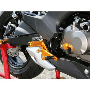 【ベビーフェイス BabyFace】 ベビーフェイス 002-K029BK バックステップキット ブラック Z125 Pro 16-