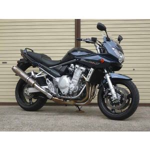 【テックサーフ】 テックサーフ T23-S024-0217 ZEEX S/O ソリッドチタン/φ110 BANDIT1250/1250S