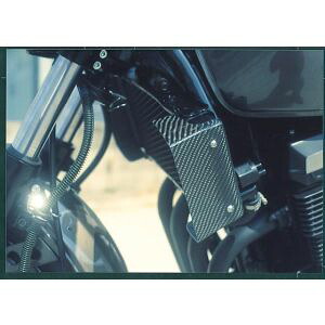 【プレジャー】 プレジャー PK1180 ラジエターシュラウド カーボン ZRX400
