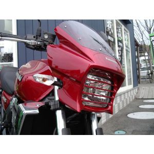 【プレジャー】 プレジャー PK1352 ヘッドライトルーバー パールメテオグレー ZRX1200 DAEG