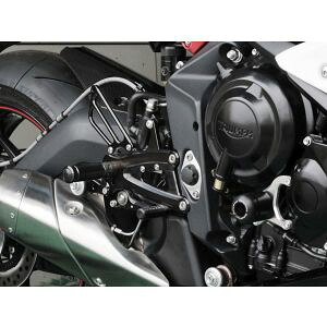 【ベビーフェイス】 ベビーフェイス 002-T006GD バックステップ/GLD6P DAYTONA675R 13-16