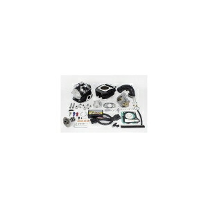【スペシャルパーツタケガワ SP武川】 スペシャルパーツタケガワ 01-05-0600 Sヘッド4V+R 5軸ポート加工 コンボキット181ccGROM