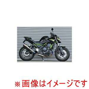【ビート BEET】 ビート 0223-KD7-50 ナサート-Evo TYPE2 クリアTI NINJA650 Z650 17-20