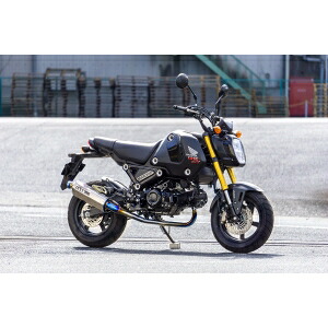 【オーヴァーレーシング OVER RACING】 オーヴァーレーシング 16-224-01 TT-Formula GROM 23- 55,902円