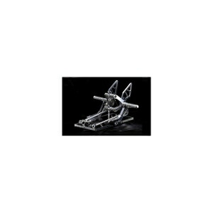 【アエラ AELLA】 アエラ AE-10059-PO ライディングステップキット ポリッシュ 999系