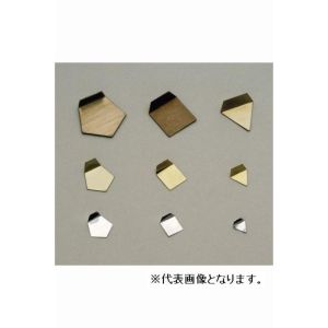 【新光電子 ViBRA】 新光電子 F1PSO-50M ViBRA 板状分銅 ステンレス OIML型 F1級 50mg