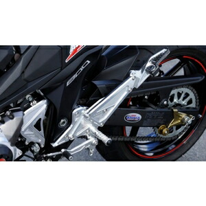 【アグラス AGRAS】 アグラス 312-492-000 バックステップ タンデムステー付 Z800 13- AGRAS