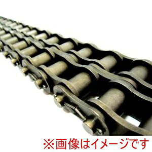 【片山チエン】 カタヤマ 100-2RPT KCM ローラチェーン 片山チエン