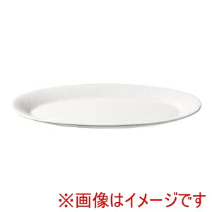 【遠藤商事 TKG】 TKG ブーガンビリア ワイドプラター M ホワイト PO023WW RWI7801 遠藤商事
