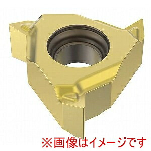 【SECO セコ･ツールズ･ジャパン】SECO セコ･ツールズ･ジャパン 22NRN60 CP200 00076331 2個入 メーカー直送 代引不可 北海道沖縄離島不可｜あきばお～支店