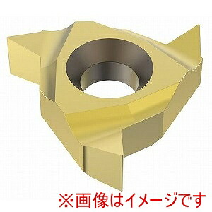 【SECO セコ･ツールズ･ジャパン】 SECO セコ･ツールズ･ジャパン 16NRAG55 CP500 00064782 2個入 メーカー直送 代引不可 北海道沖縄離島不可
