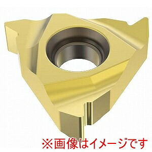 【SECO セコ･ツールズ･ジャパン】 SECO セコ･ツールズ･ジャパン 16NR11W-A CP500 02445361 2個入 メーカー直送 代引不可 北海道沖縄離島不可