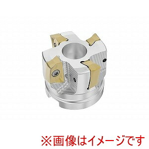 【SECO セコ･ツールズ･ジャパン】 SECO セコ･ツールズ･ジャパン R220.64-0050-ZO16-4A 03290239 メーカー直送 代引不可 北海道沖縄離島不可 38,943円