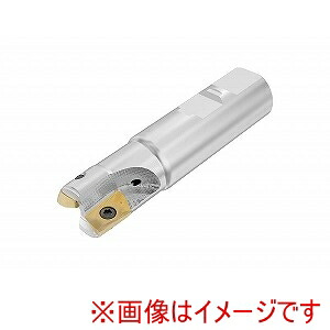 【SECO セコ・ツールズ・ジャパン】SECO セコ・ツールズ・ジャパン R217.69-2525.3-XO16-2A 03336092 メーカー直送 代引不可 北海道沖縄離島不可|あきばお~支店