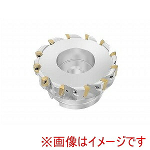 【SECO セコ･ツールズ･ジャパン】SECO セコ･ツールズ･ジャパン R220.69-0125-XO16-12A 03336124 メーカー直送 代引不可 北海道沖縄離島不可｜あきばお～支店