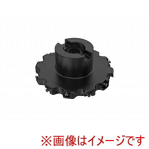 【SECO セコ･ツールズ･ジャパン】 SECO セコ･ツールズ･ジャパン R335.25-125.15.32-6NA 02989541 メーカー直送 代引不可 北海道沖縄離島不可