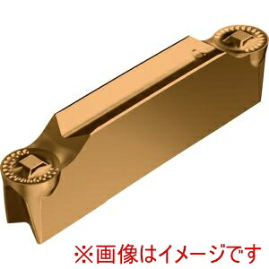 【ワルター Walter】 ワルター DX18-3E300N15-RD4 WSM23G 溝入れおよび突っ切り用チップ Tiger tec Gold WSM23G 10個 直送 代引不可 北海道沖縄離島不可