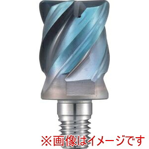 【ダイジェット工業 DIJET】 ダイジェット工業 SMSR-4300R30-M16 防振Sヘッド