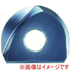 【ダイジェット工業 DIJET】 ダイジェット工業 BNM-060-TS 材質DH102 ミラーミラーボール用チップ TSインサート 2個 メーカー直送 代引不可 北海道沖縄離島不可