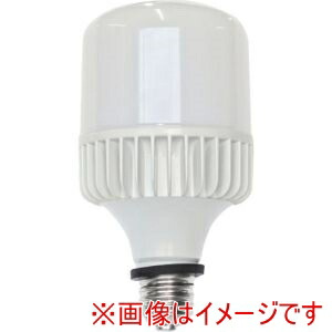 【セフティー】 セフティー SH40-TL-TR キラリトライトLEAD 工事用LED電球 口金E39 100/200V兼用 屋外用 バラストレス水銀灯500W相当