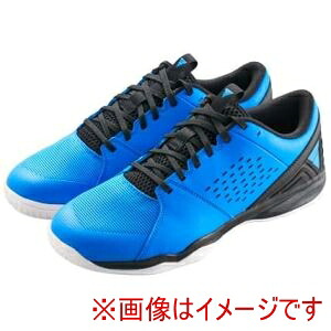 【ヴィクタス VICTAS】 ヴィクタス 552501 トライアンエヴォルブ V ブルー 23.5cm 7,424円