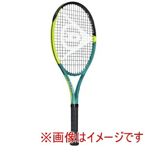【ダンロップ DUNLOP】 ダンロップ DS22501 25 D SX300 DS22501 G2 20,074円