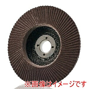 【イチグチ ICHIGUCHI】 イチグチ CON12522-A-120 テクノディスク・コニカルタイプA 125X22.2 #120 10個 メーカー直送 代引不可 北海道沖縄離島不可