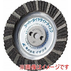 【イチグチ ICHIGUCHI】 イチグチ SDLD100M10-100 スーパーダイヤライトディスク 100XM10 #100 5個 メーカー直送 代引不可 北海道沖縄離島不可