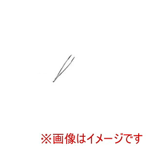 「あきばお～写真機」写真機専門職隅っこ