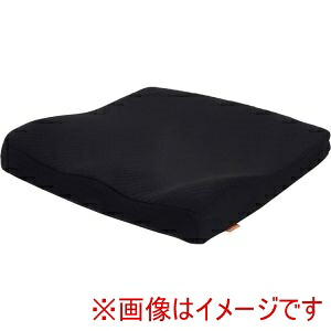 【タカノ】 タカノ 323995 TC-R046 タカノクッションR タイプ6 ブラック