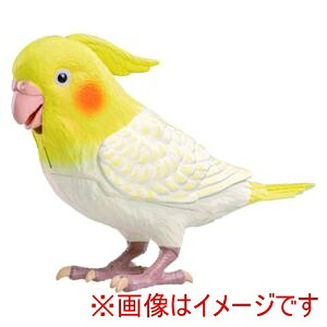 送料無料!! 【タカラトミーアーツ】 タカラトミーアーツ 514993 もっとおしゃべり 天才オカメインコちゃん 【smtb-u】