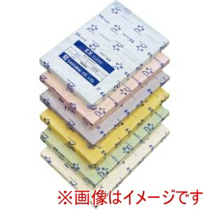 【桜井】 桜井 EX72BA3 EXクリーン A3 ブルー 250枚 5冊
