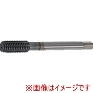【田野井製作所】 田野井製作所 W-TF M2X0.4 P5 ダブルタフレット M2×0.4 P5 48894 10本 メーカー直送 代引不可 北海道沖縄離島不可 23,775円