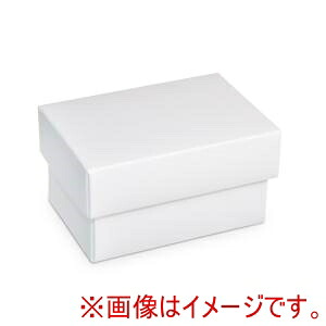 「あきばお～写真機」写真機専門職端っこ