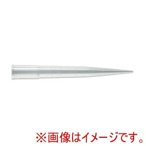 「あきばお～写真機」写真機専門職隅っこ