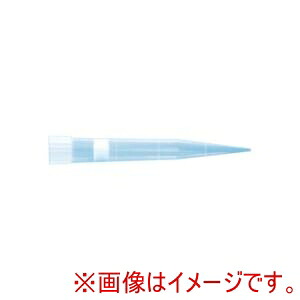 「あきばお～写真機」写真機専門職端っこ