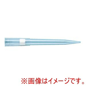 「あきばお～写真機」写真機専門職端っこ