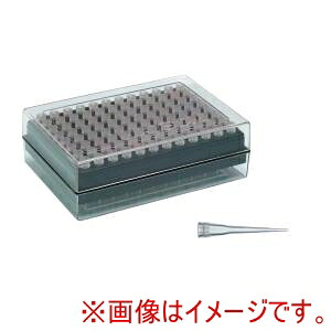 「あきばお～写真機」写真機専門職隅っこ