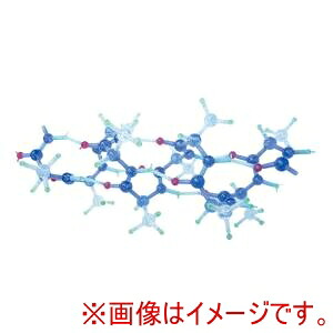 【タロウ】 タロウ 分子構造模型 モル・タロウ R タンパク質・DNAPRT-2
