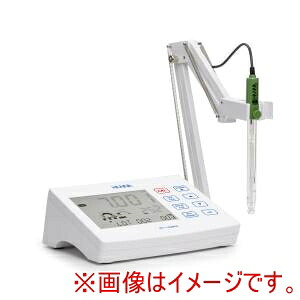 【ハンナ】 ハンナ HI2621-01 卓上型pH/ORP計 Core Model