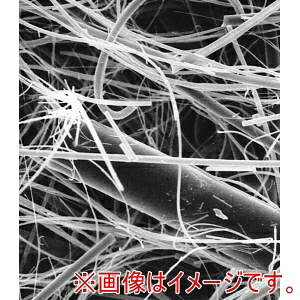 「あきばお～写真機」写真機専門職端っこ
