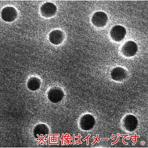 「あきばお～写真機」写真機専門職隅っこ