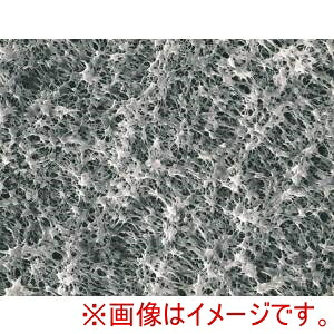 【アドバンテック東洋 ADVANTEC】 アドバンテック東洋 13050802 親水性PTFEメンブレンフィルタ H050A025A 100枚