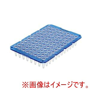 【エッペンドルフ Eppendorf 】 エッペンドルフ 0030133404 ツインテクPCRプレート96スカートレス 20枚