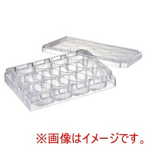 【ワトソン】 ワトソン 197-12CS 培養プレート 滅菌 50枚