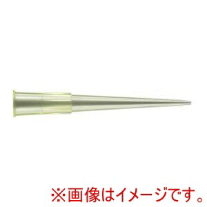 「あきばお～写真機」写真機専門職端っこ